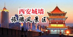 大鸡巴日快點騷逼好爽中国陕西-西安城墙旅游风景区